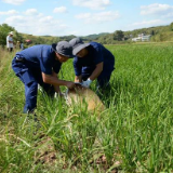 全国早稻育秧陆续开始 春耕生产开局良好