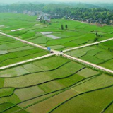 全国春播开局良好 播种面积超5500万亩