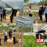 春耕正当时 湖南省园艺研究所专家赴湘西开展田间技术指导