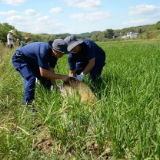 谷雨至 农耕忙 全国春播进度近两成