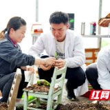 把课堂搬进大棚 这项研究有点“辣”
