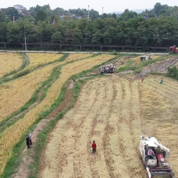 中央财政下达资金100亿元，支持春耕生产——“百亿补贴”送给种粮农民