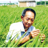 湘江周刊·封面丨守望世纪粮仓 ——写在袁隆平院士逝世两周年之际