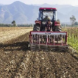 湖南建立四级党政领导联系粮食生产示范片工作机制