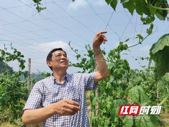 乡村追梦人 | 包振常：三千亩地“云”和“月”
