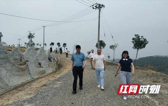 乡村追梦人｜何善栋：有机茶园，建造一方水土品质生活
