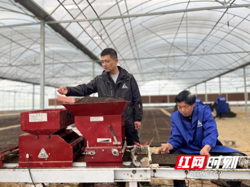 中方：刺葡萄深加工产业链赋能乡村振兴