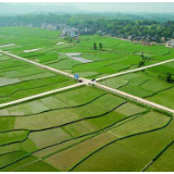 湖南省集中育秧相关事项调研指导工作动员部署会召开