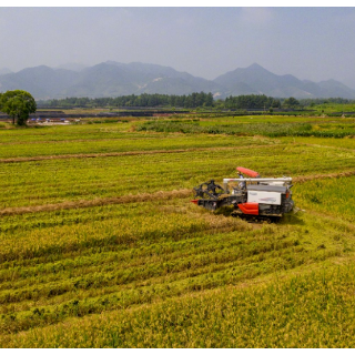 秋收进入高峰 新型农机助力颗粒归仓