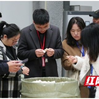 2024年湖南“洞庭湖小龙虾”优势特色产业集群第一届集中技术培训在益阳南县举办