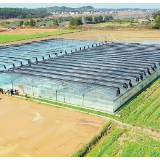 今年湖南岳阳县育秧设施大棚总面积达55万平方米 播种育秧也能3D印刷