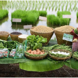 湖南：推广“智慧湘农”平台 确保农产品质量安全