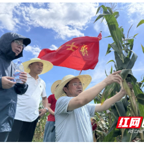 湖南农业大学博士团“三下乡”   助力武陵山区旱粮机械化生产提质增效