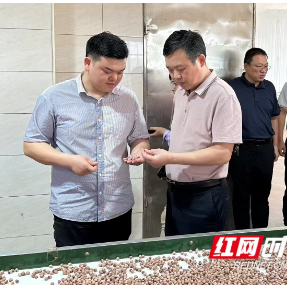 衡阳县：绿色食品引领绿色餐桌新风尚