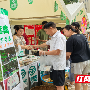 “绿色食品，健康引领”绿色食品进社区活动在长沙举办
