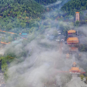 美文 | 父亲·乡愁 