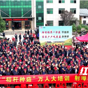 “稻菇轮作”绘就生态富民新画卷 湘潭县“秸秆种菇”万人大培训启动
