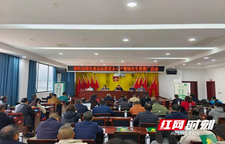 “绿色食品标准进企入户暨绿色生资推广活动”在麻阳举办