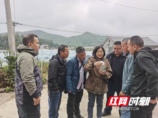 蔬菜体系1.marked.jpg 蔬菜体系1.marked.jpg