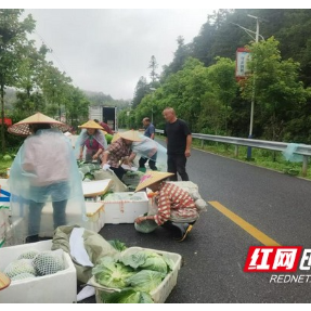 乡村追梦人丨李勇军:用一个西瓜 带富百余乡亲