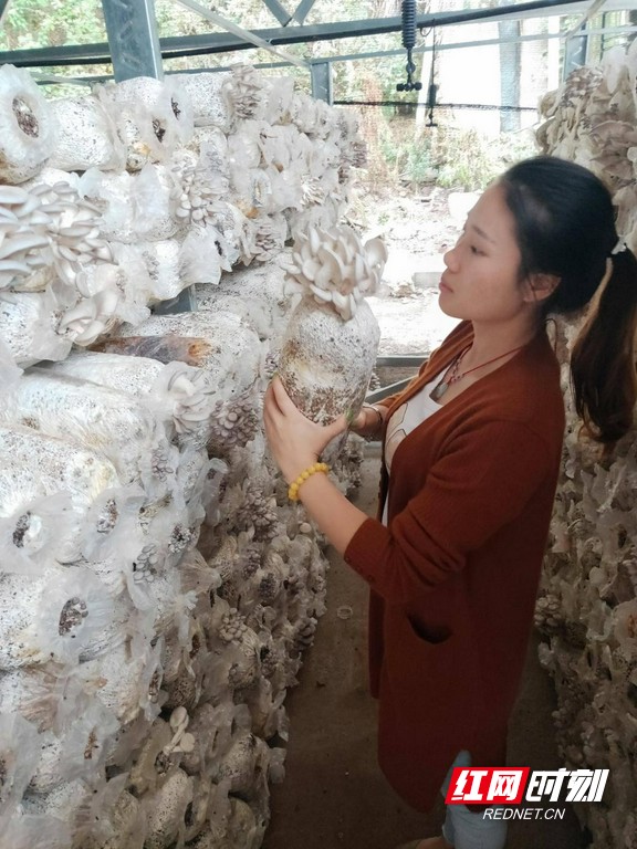 jlp2.marked.jpg jlp2.marked.jpg