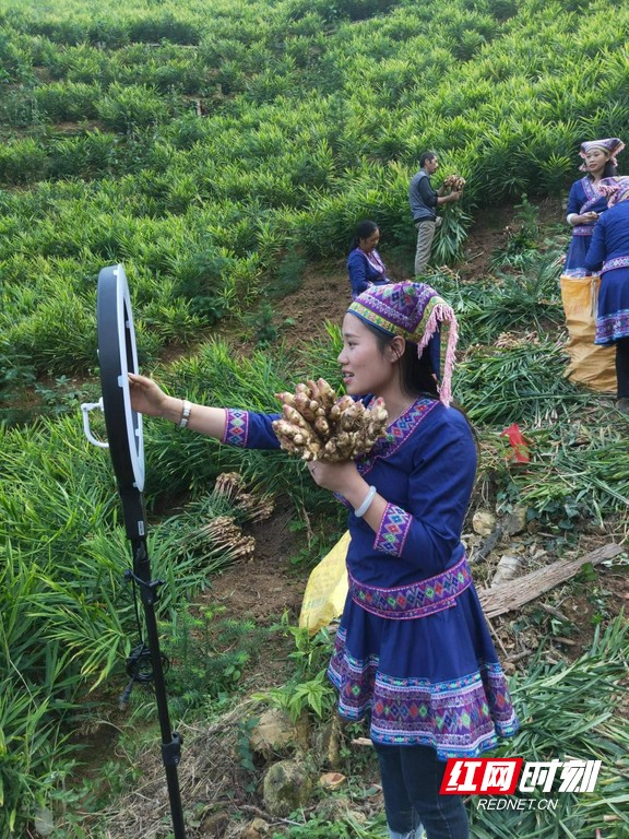 jlp3.marked.jpg jlp3.marked.jpg