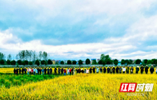 邵阳洞口：粮油产能提升高素质农民培训班开班，为乡村振兴注入新动能