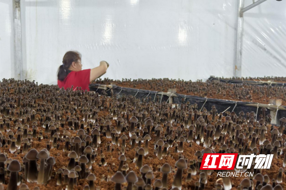 乡村追梦人3.marked.png 乡村追梦人3.marked.png