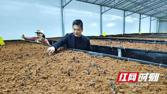 乡村追梦人555.marked.jpg 乡村追梦人555.marked.jpg