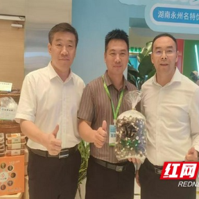 乡村追梦人丨成芳炜:让鸡枞菌生长出乡村振兴“幸福味”