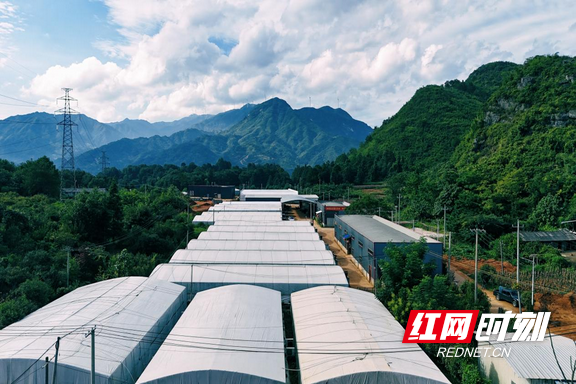 乡村追梦人2.marked.png 乡村追梦人2.marked.png