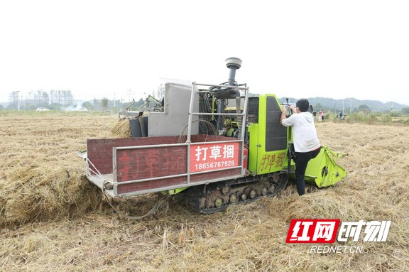 攸县2.marked.jpg 攸县2.marked.jpg