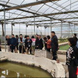 2025年湖南省高素质农民培育生态农场经营主体培训班(湘西州)赴长沙望城开展实践教学