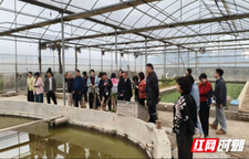 2025年湖南省高素质农民培育生态农场经营主体培训班（湘西州）赴长沙望城开展实践教学