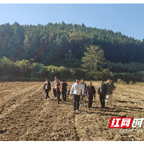 郴州临武:学员淬炼硬功,为粮油单产提升注入“智慧动能”