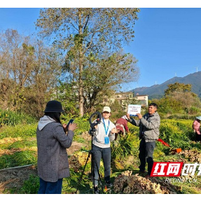 郴州汝城：加强农业品牌培训 培育乡村人才