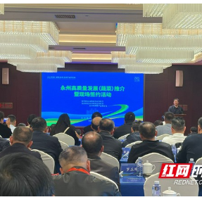 永州蔬菜强势出圈,绘就农业高质量发展新蓝图