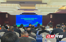 永州蔬菜强势出圈，绘就农业高质量发展新蓝图