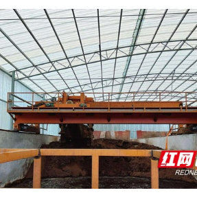 怀化洪江:绘就畜禽养殖的“沃野新图”