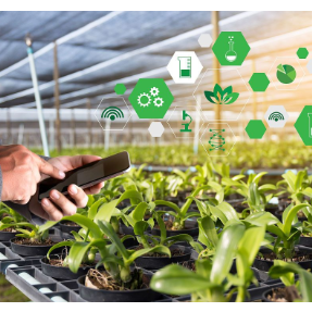 怀化芷江:农机手技能提升培训班圆满结业 为农业机械化注入人才动力