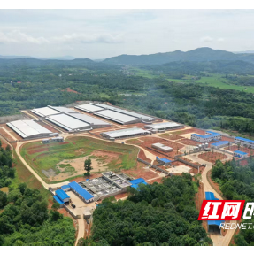 湘阴县:创新“三链协同”模式 打造畜禽粪污综合利用与养殖污染防治新样板