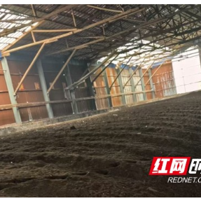 怀化溆浦：探路“种养循环” 生猪大县的绿“肥”账本