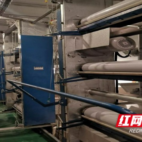 由“污”变“宝”,湖南畜禽养殖的绿色“翻身仗”