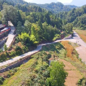 桑植“生态账本”纪实:粪污变沃土 青山更“值钱”