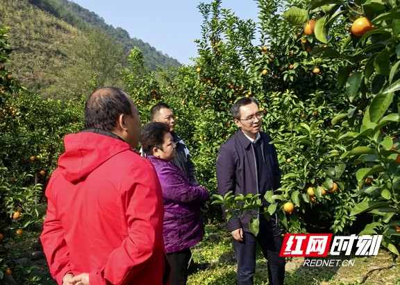 gx2.marked.jpg gx2.marked.jpg