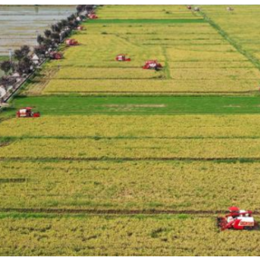 长沙望城：农机补贴“一次办” 精准服务助农兴