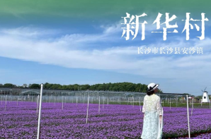和美湘村去哪游 | 长沙市长沙县安沙镇新华村