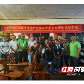 湖南省生猪产业体系湘中试验站团队赴东帝汶开展生猪养殖技术服务