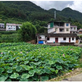 书写武陵山腹地“衔接”答卷