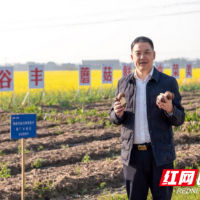 邓述东：“三农”战线上的“多面手”